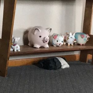 Meet your Posher, Cindy